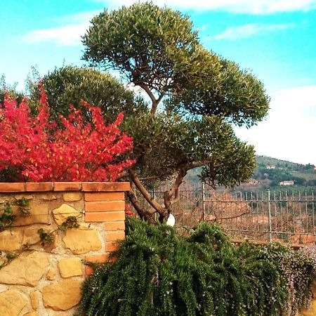 Hotel Olivo Bonsai Passignano sul Trasimeno Zewnętrze zdjęcie
