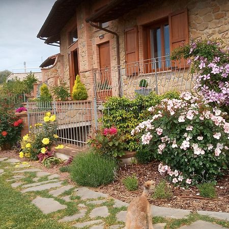 Hotel Olivo Bonsai Passignano sul Trasimeno Zewnętrze zdjęcie