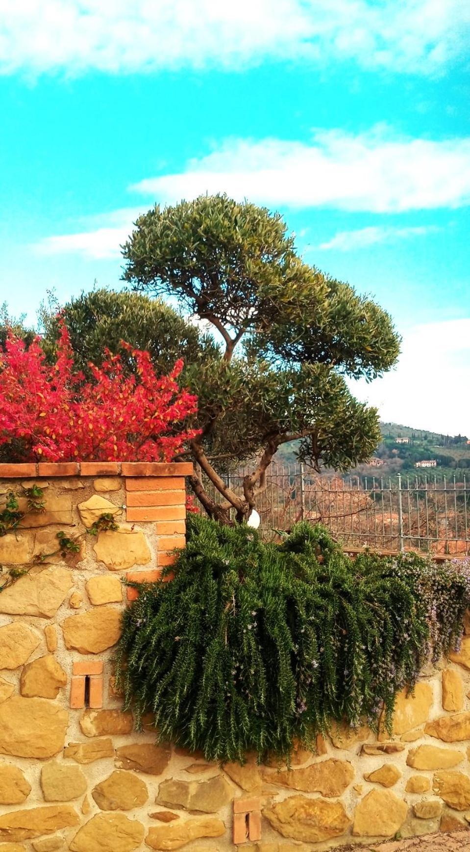 Hotel Olivo Bonsai Passignano sul Trasimeno Zewnętrze zdjęcie